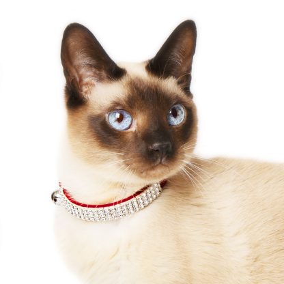 Exclusive Jewellery Cat Collar By Felia™ Set With Crystals From Swarovski® - Image 11